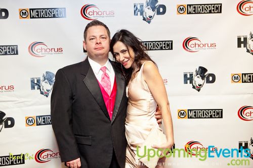 Hair O' The Dog (Gallery B)