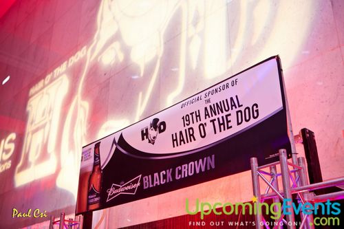 Hair O' The Dog (Gallery B)