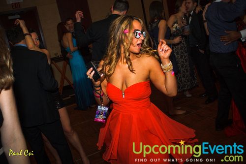 Hair O' The Dog (Gallery A)