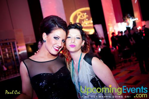 Hair O' The Dog (Gallery A)