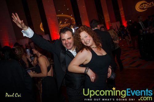 Hair O' The Dog (Gallery A)