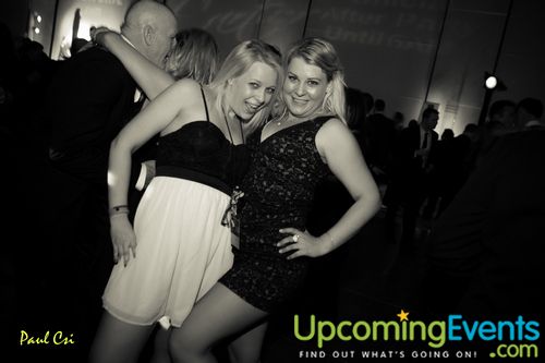 Hair O' The Dog (Gallery A)