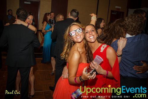 Hair O' The Dog (Gallery A)