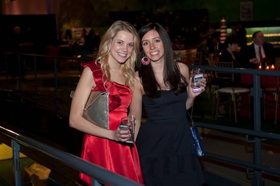 The Red Ball 2013 (Gallery A)