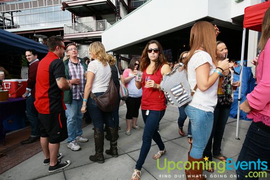 Beer Fest and BBQ at the Ballpark (Gallery 2)