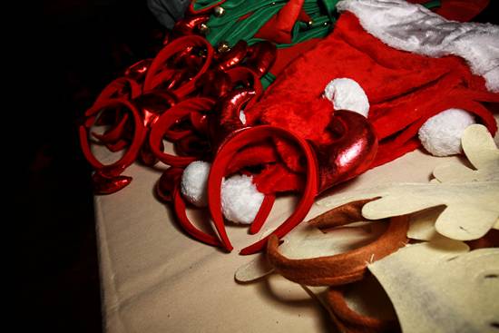 16th Annual Reindeer Romp (Gallery A)