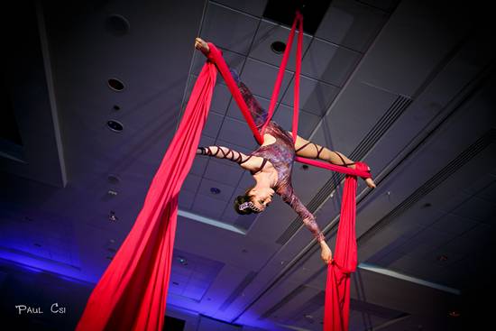 Hair 'O The Dog 2014