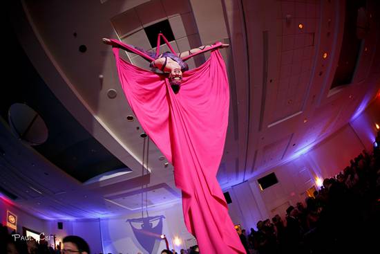 Hair 'O The Dog 2014