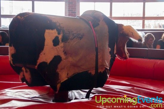 Winterfest 2014 (Gallery B)