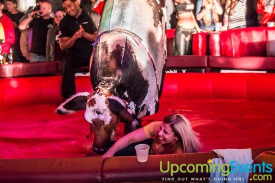 Winterfest 2014 (Gallery B)