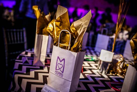 17th Annual Philly Fur Ball