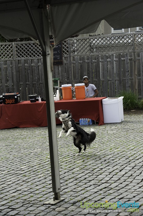 Spring Fest 2015 @ The Ugly Moose