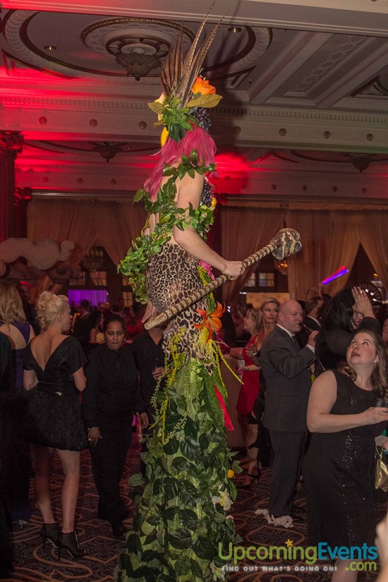 Hair O' The Dog 2016 (Gallery 1)