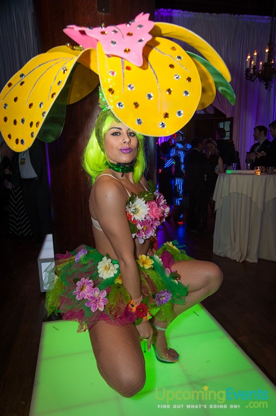 Hair O' The Dog 2016 (Gallery 2)