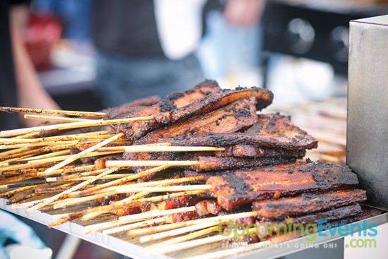 Springfest Live! 2016 (Gallery A)