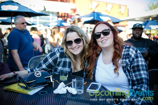 Springfest Live! 2016 (Gallery A)