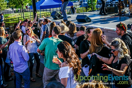 Springfest Live! 2016 (Gallery A)