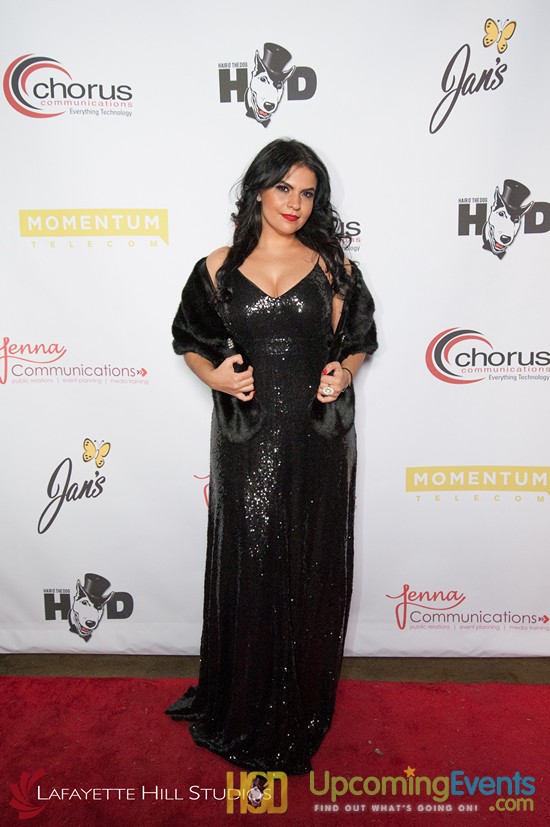 Hair O' The Dog 2017 (Red Carpet)