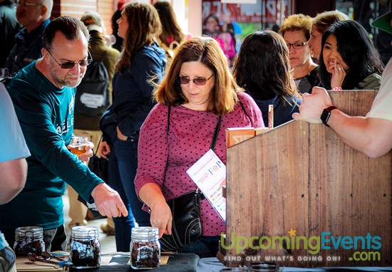 All Star Craft Beer & Wine Festival - Gallery 1