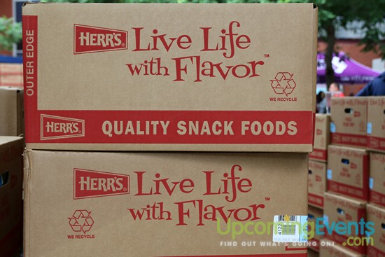 All Star Craft Beer & Wine Festival - Gallery 4