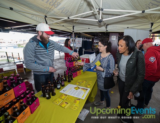 All Star Craft Beer & Wine Festival - Gallery 6