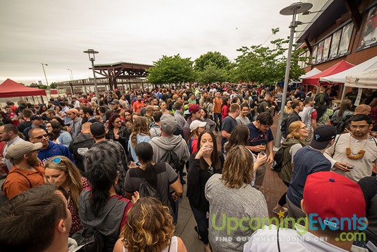 All Star Craft Beer & Wine Festival - Gallery 6