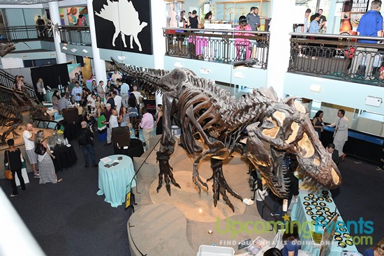 Philadelphia Restaurant Festival 2017 (Gallery 2)