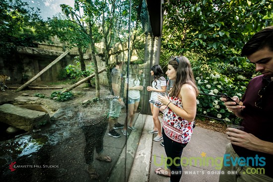 Summer Ale Festival at The Zoo!