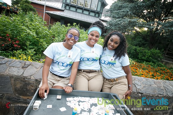 Summer Ale Festival at The Zoo!