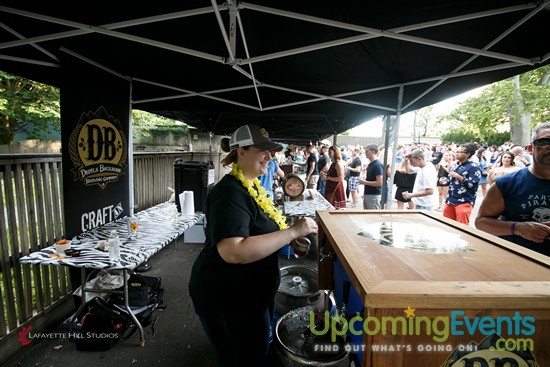 Summer Ale Festival at The Zoo!