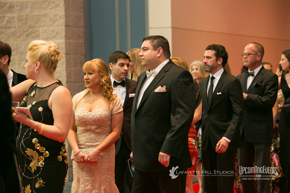 Black Tie Tailgate 2018 (The Red Carpet)