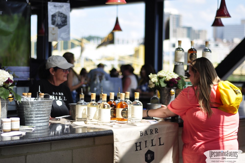 Pittsburgh All Star Festival 2018 - Gallery 6