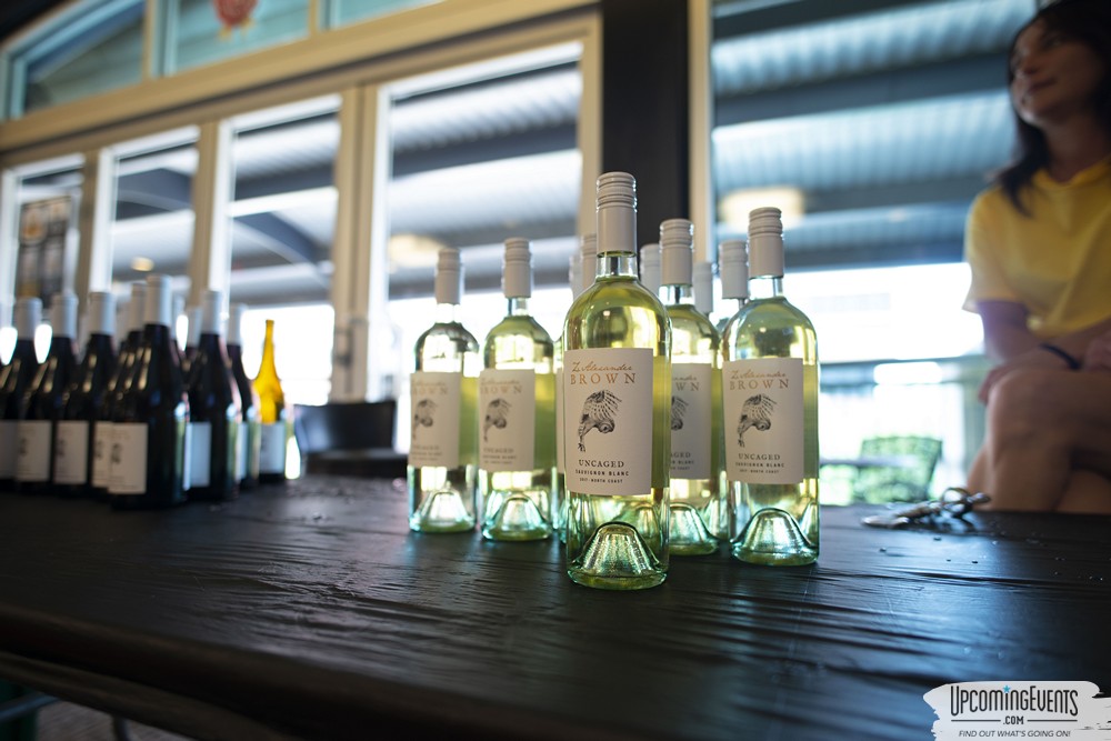 Pittsburgh All Star Festival 2018 - Gallery 5