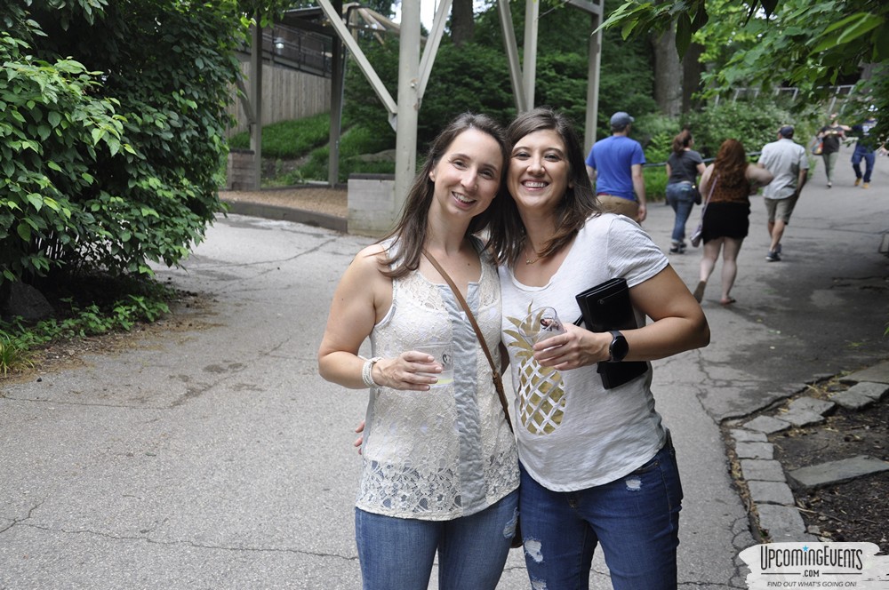 Summer Ale Festival at The Phladelphia Zoo