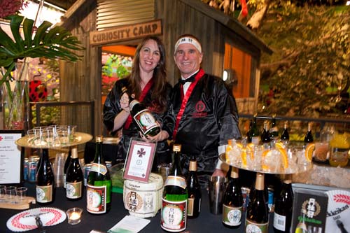 The 2010 Red Ball (gallery #1)