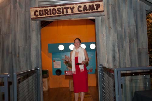 The 2010 Red Ball (gallery #1)