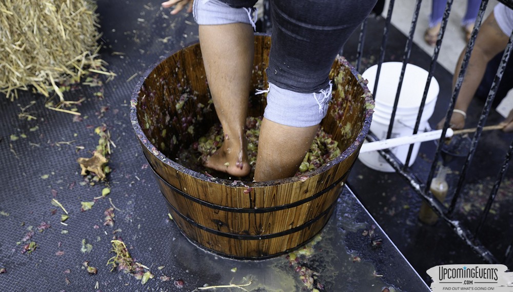 Sippin' By The River 2019