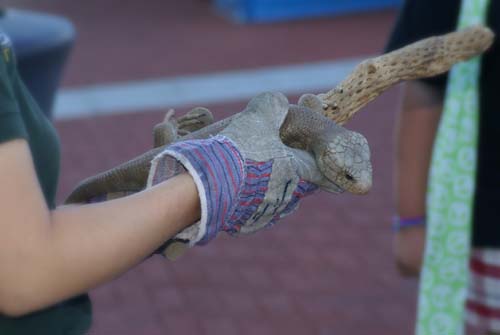 Battleship Blast 2010