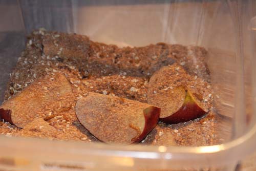 City Chase Philadelphia 2010 - The Race