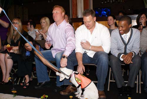 Fashion in Public (Gallery 1)