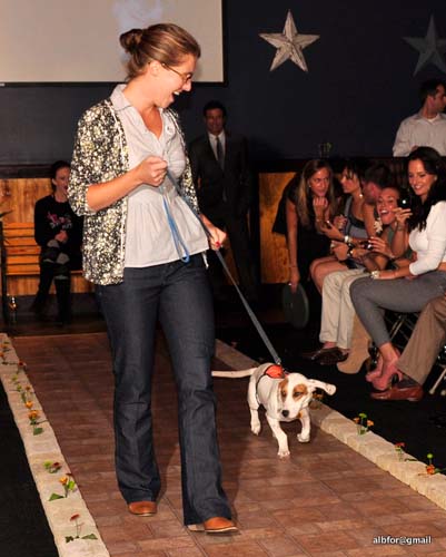 Fashion in Public (Gallery 2)