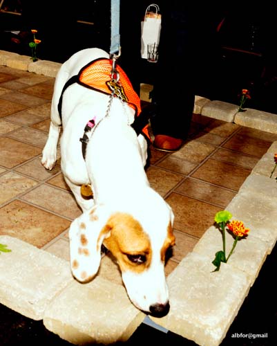 Fashion in Public (Gallery 2)