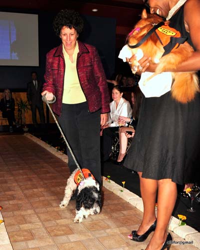 Fashion in Public (Gallery 2)