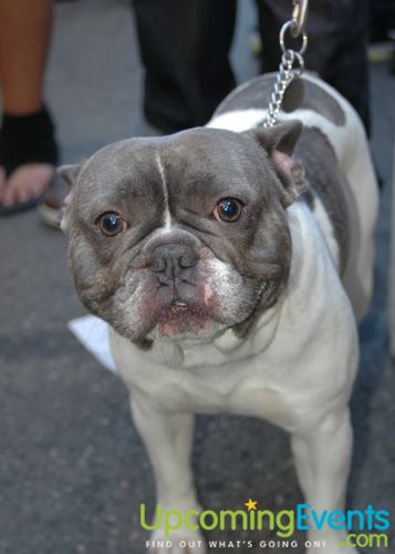 Fall Festival (Gallery 3)