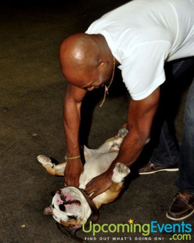 Philly Fashion Week 2010 (Saturday Gallery 2)