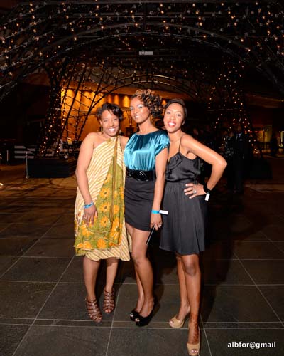 The Last Party in Paris