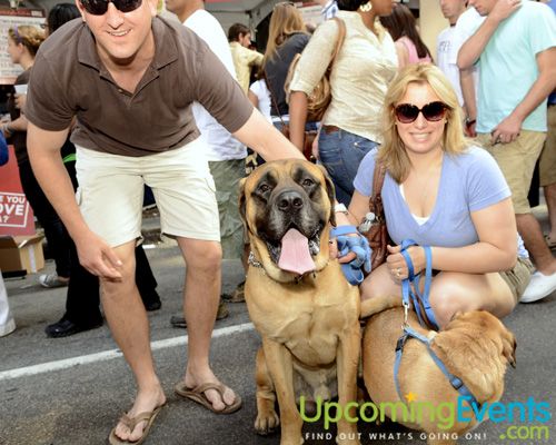 Rittenhouse Row Spring Festival