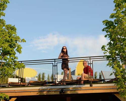 VIP Grand Opening - Arrow Swim Club