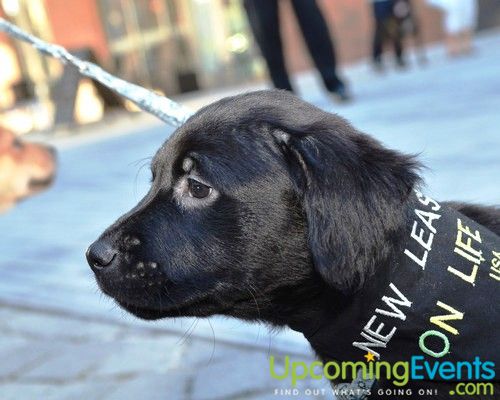 PW Concerts at Piazza