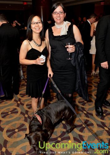 Good Dog Gala